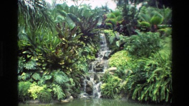 1984: A Beautiful Waterfall Flowing Into a Small Pond Surrounded by Lush Greenery