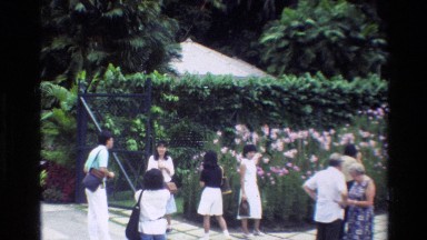 1984: A Group of People Gathered at an Orchid Enclosure in Singapore