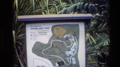 1984: A Large Banner with Lush Greenery Behind Showing Directions