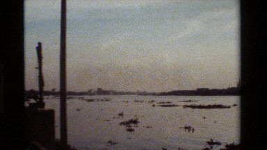 1984: huge water area with small bush like THAILAND