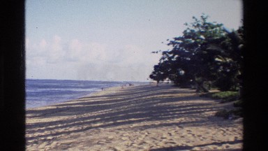1984: Sandy Tree Shoreline with Clouds in the Sky Cambodia