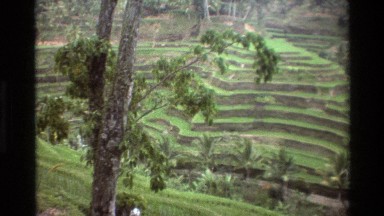 1984: Several Hills Completely Terraced and Planted with Grass