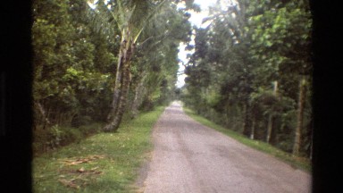 1984: A Beautiful Grass and Tree Lined Dirt Road