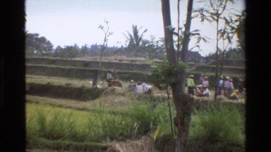 1984: Group of People Working in the Land Singapore