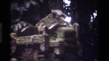 1984: what appears to be monkeys climbing on an old stone structure SINGAPORE