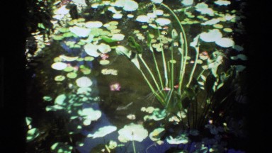 1984: pond with lilies and lotus flowers SINGAPORE