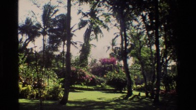 1984: beautiful garden filled with greenery SINGAPORE