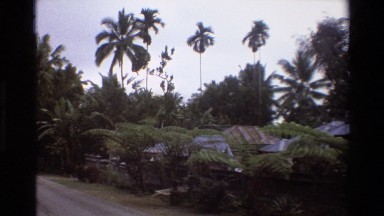 1984: clustered homes with metal roofs sit behind a wall