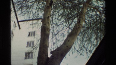 1983: view of a large building with many windows and flora near it NAIROBI KENYA