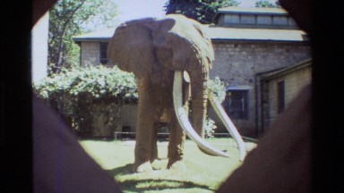 1983: A Statue of Elephant in Front of the Building Area Nairobi Kenya