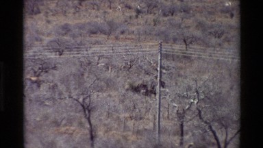 1983: a high pole middle of tree area KILAGUNI KENYA