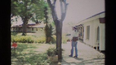 1983: A Group of Peacocks Strut in a Yard Near a House Nairobi Kenya