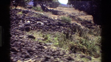 1983: Rocky Slope, Vegetation, and Wet Area in Kilaguni, Kenya