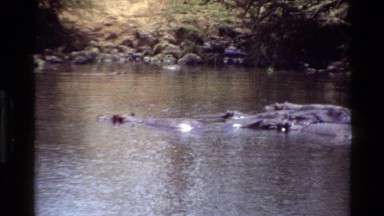 1983: A Stream Flows Slowly Through an Area with Boulders and Trees KILAGUNI