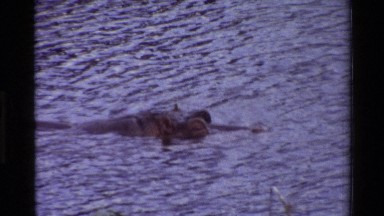 1983: view of a large body of water with wildlife in it. KILAGUNI KENYA