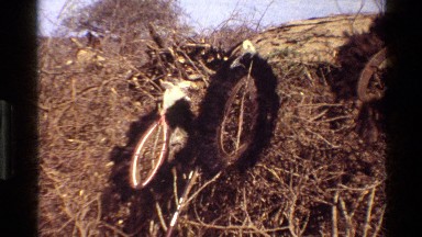 1983: feather works of art hang from a pile of cut scrub brush in an arid area