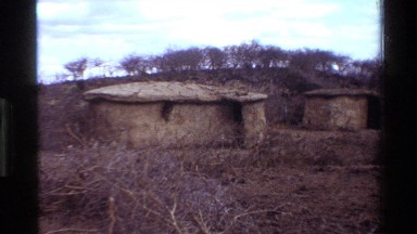 1983: a place where there is lots of wood KILAGUNI KENYA