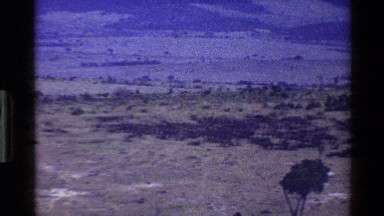 1983: panning view from left to right of an african plain in the dry season