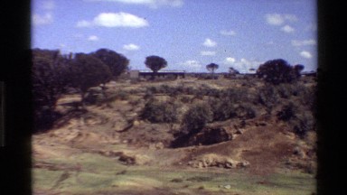 1983: Two People Walking Together in Vast Land Covered with Trees