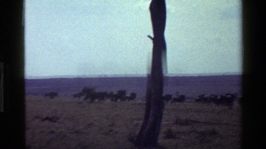 1983: Wildplay Mara Tanzania