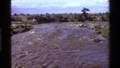 1983: a large area full of water covered with many trees on its sides MARA