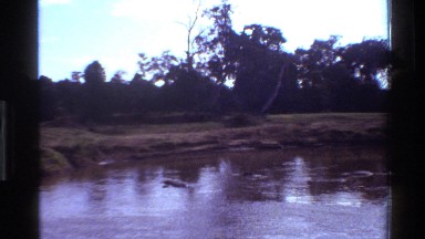 1983: a portion of a lake moves slowly past a stagnant portion MARA TANZANIA