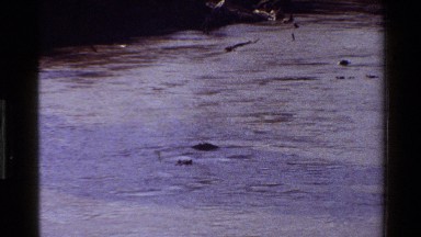 1983: a group of hippos bobbing in the a river MARA TANZANIA