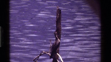 1983: Birds Flying Over Water in Kenya