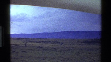1983: A Herd of White-Tailed Deer Walks Across a Desolate Plain Near a Mountain