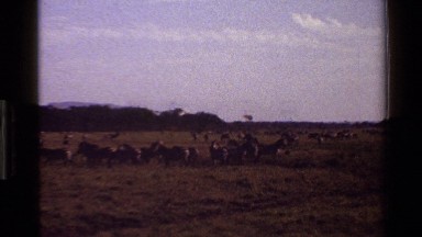 1983: A Large Area With Lots of Grass and a Distant Mountain Around Mara