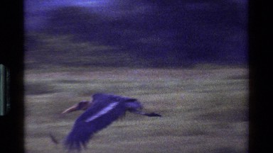 1983: A Boat Moving in the River with Birds Flying Over in Kenya