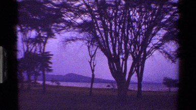 1983: A Realistic and Natural Vision of a Shore from the Woods in a Dramatic Way