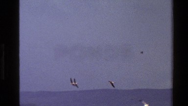 1983: flying egrets over a body of water KENYA