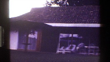 1983: a bird in the yard KENYA