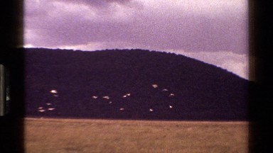 1983: birds flying near a mountain KENYA