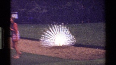 1983: A Woman Walks Away from a Peacock on a Dirt Road in Kenya