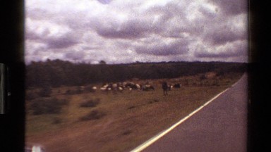 1983: A Beautiful Mountain Ridge Seen Through the Window of a Moving Vehicle
