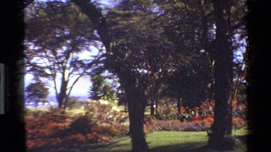 1983: Sweeping Shot of Well-Maintained Garden and Trees in Mara Tanzania