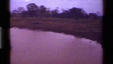 1983: The Beautiful Scenario of the Nature Kenya