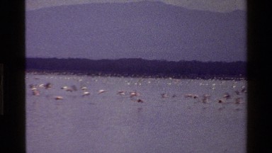 1983: flock of birds fly over mountainside lake MARA TANZANIA