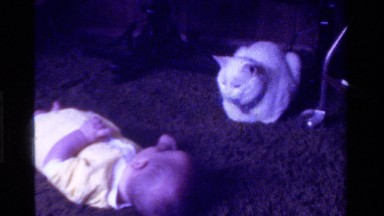 1975: a baby lays on the floor looking at a nearby cat CALIFORNIA