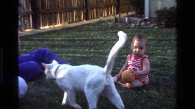 1977: two women sit in a yard with a white kitten and a baby CALIFORNIA