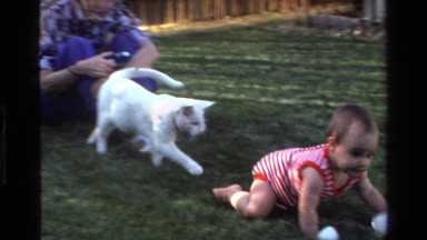 1977: a cat and a baby crawling outside in the grass CALIFORNIA
