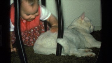 1977: the beautiful child play with her pet in the house CALIFORNIA