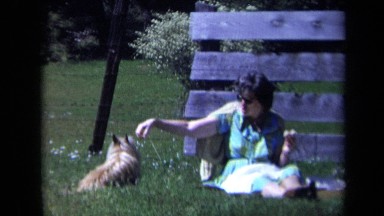 1969: woman in park sitting on grass with terrier CALIFORNIA