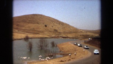 1971: Cars Driving Slowly on a Road Adjacent to a River with Large White Birds