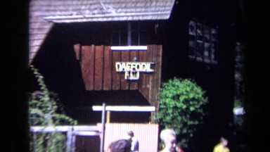 1969: People Gathered at Daffodil Hill California