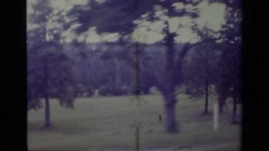 1977: Driving by Fields with Trees and a Thick Forest Behind Big Bear California