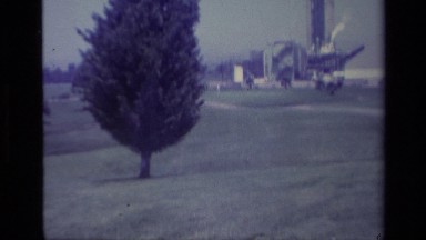 1977: a large area full of grass and small plants and no one around LAGUNA BEACH
