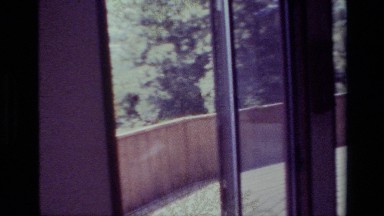 1977: a spectacular view of a landscape lush with trees outside of a window.